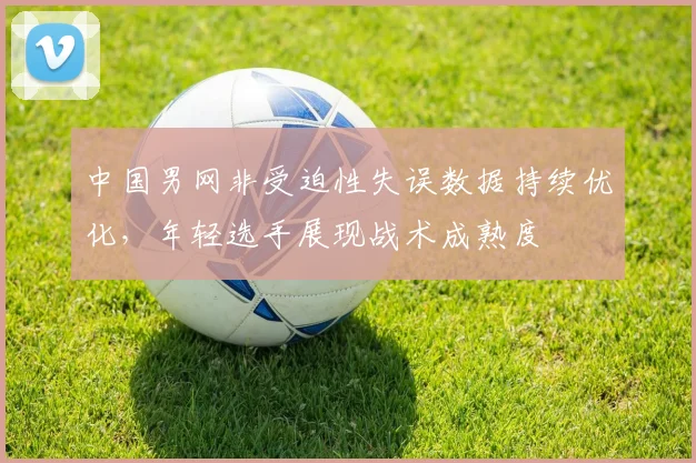 中国男网非受迫性失误数据持续优化，年轻选手展现战术成熟度 - 百度体育推荐